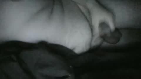 Snapshot of lethandor chatting on December 25, 2024, 6:52 am Rayne online show from December 25, 2024, 6:52 am