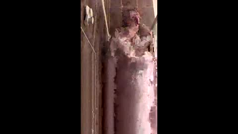 Snapshot of lethandor chatting on December 19, 2025, 9:11 pm Rayne online show from December 19, 2025, 9:11 pm