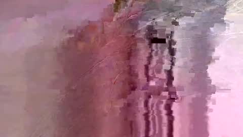 Snapshot of letslookateach chatting on February 26, 2026, 8:46 am letslookateach online show from February 26, 2026, 8:46 am