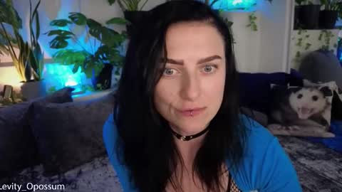 Snapshot of levity_opossum chatting on November 11, 2025, 11:05 pm Levity online show from November 11, 2025, 11:05 pm