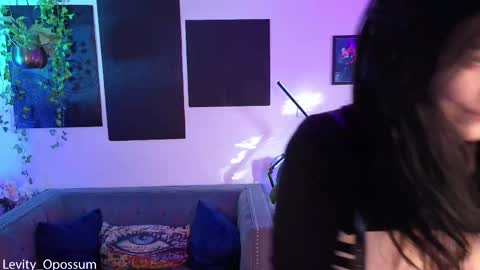 Snapshot of levity_opossum chatting on November 26, 2025, 11:06 pm Levity online show from November 26, 2025, 11:06 pm