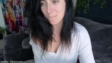 Snapshot of levity_opossum chatting on January 16, 2026, 7:40 pm Levity online show from January 16, 2026, 7:40 pm