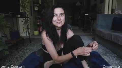 Snapshot of levity_opossum chatting on March 4, 2026, 8:04 pm Levity online show from March 4, 2026, 8:04 pm