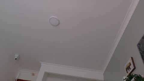 Snapshot of lexadominant__ chatting on May 11, 2026, 2:45 pm L E X A online show from May 11, 2026, 2:45 pm