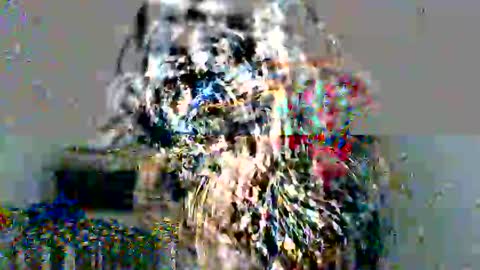 Snapshot of ley_blus1 chatting on December 17, 2024, 5:04 pm lolita online show from December 17, 2024, 5:04 pm