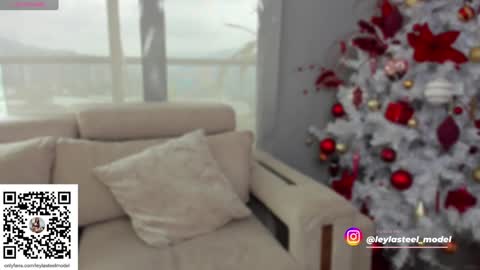 INSTA leylasteel model         online show from December 24, 2024, 2:01 pm