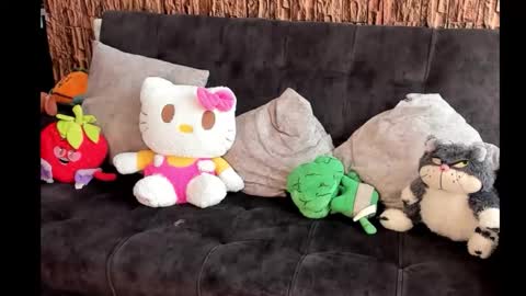 Snapshot of lia_rip01 chatting on October 17, 2025, 2:52 pm lia_rip01 online show from October 17, 2025, 2:52 pm