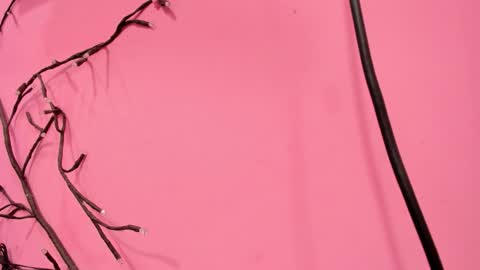 Snapshot of liam_evvan chatting on January 18, 2026, 3:10 am Liam online show from January 18, 2026, 3:10 am