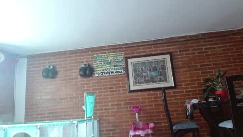 Snapshot of liarouse04 chatting on May 17, 2026, 4:03 pm Liarouse04 online show from May 17, 2026, 4:03 pm