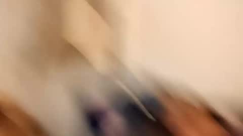 Snapshot of likdatass69247 chatting on December 28, 2024, 6:28 am likdatass69247 online show from December 28, 2024, 6:28 am