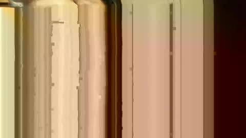 Sasquatch online show from February 24, 2026, 6:39 pm