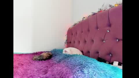 Lilith online show from February 8, 2025, 8:32 pm