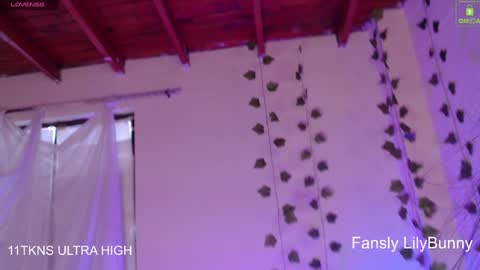 Snapshot of lily_bunny_1 chatting on December 6, 2024, 10:19 pm Fansly LilyBunny- help me reach 50 thumbs up online show from December 6, 2024, 10:19 pm