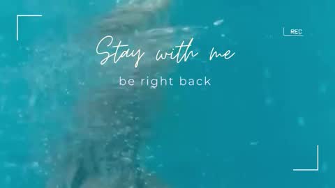 Lily online show from November 10, 2025, 6:45 am