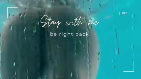 Snapshot of lily_foster_ chatting on December 21, 2025, 6:31 am Lily online show from December 21, 2025, 6:31 am