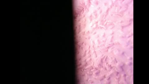 Snapshot of lilycelest chatting on May 13, 2026, 6:44 am lilycelest online show from May 13, 2026, 6:44 am