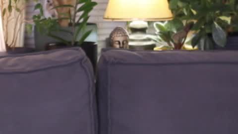 -- My Wishlist  online show from November 13, 2025, 3:55 pm