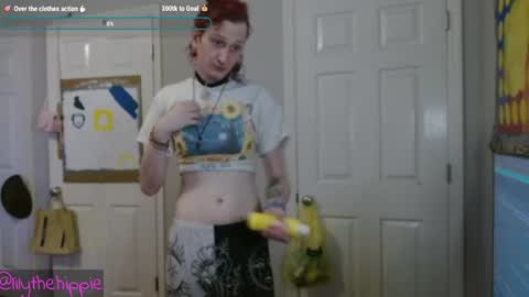 Snapshot of lilythehippie chatting on April 28, 2026, 2:27 am lilythehippie online show from April 28, 2026, 2:27 am