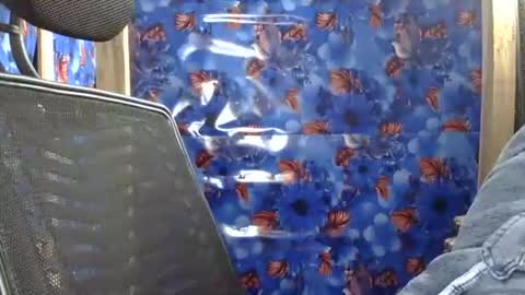 Snapshot of limaakter246618 chatting on February 16, 2026, 4:14 pm limaakter246618 online show from February 16, 2026, 4:14 pm