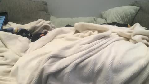 lingeriesissy12 online show from February 13, 2025, 11:04 pm