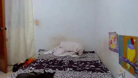 lion_grr online show from December 16, 2025, 2:16 am