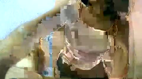 liora online show from March 11, 2025, 6:53 am