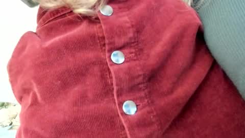 Lissa online show from October 30, 2025, 5:24 pm