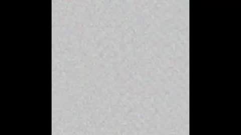 Zaydon and Lita Wolfe online show from February 22, 2026, 10:30 pm