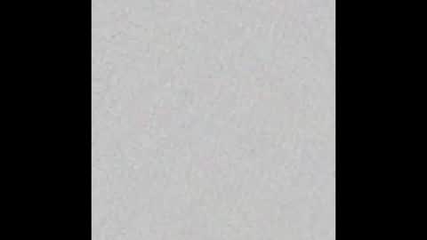 Snapshot of little_pearl_ chatting on November 23, 2025, 5:29 am Adaline online show from November 23, 2025, 5:29 am