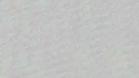 Adaline online show from April 3, 2026, 7:50 am