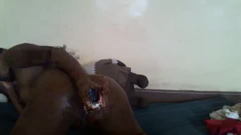 Snapshot of littlesandie chatting on March 10, 2025, 12:04 pm littlesandie online show from March 10, 2025, 12:04 pm