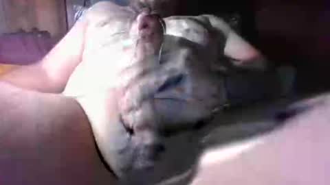 litwinpaweel online show from December 2, 2025, 8:26 pm