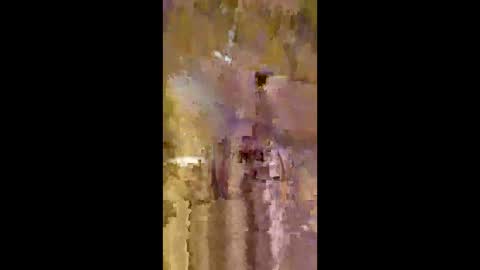 Snapshot of livingdata011010 chatting on May 20, 2026, 1:34 am livingdata011010 online show from May 20, 2026, 1:34 am