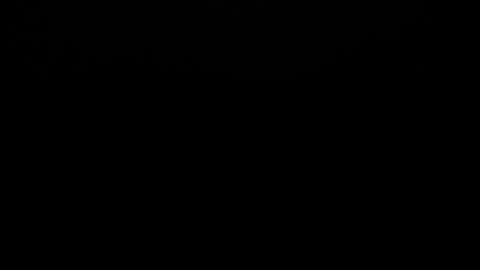 liza honey online show from April 16, 2026, 3:51 am