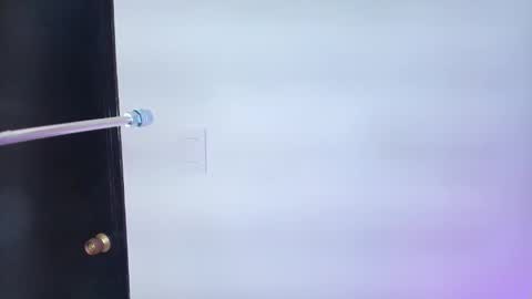 Snapshot of lizz_tender chatting on February 6, 2025, 11:54 am Lizz online show from February 6, 2025, 11:54 am