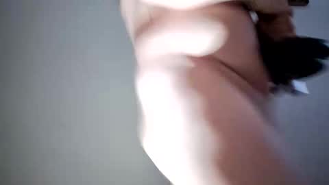 Snapshot of lllortx chatting on February 17, 2026, 4:24 pm lllortx online show from February 17, 2026, 4:24 pm