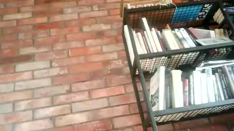 lllukasssxxx online show from November 1, 2025, 9:33 am