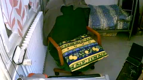 Snapshot of lokoum39 chatting on December 2, 2024, 5:15 pm lokoum39 online show from December 2, 2024, 5:15 pm