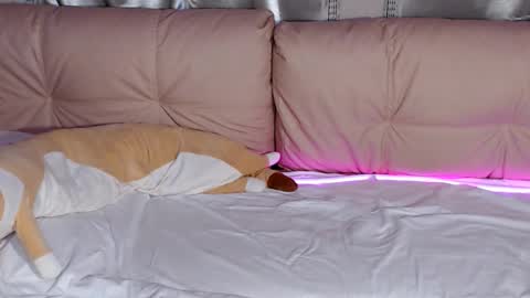 Snapshot of lolacash777 chatting on February 17, 2026, 8:26 pm lolacash777 online show from February 17, 2026, 8:26 pm