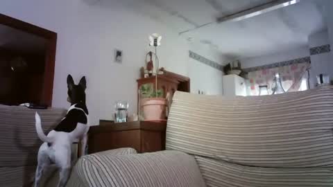 LOLA HUESO y ERIC online show from October 6, 2025, 8:12 am