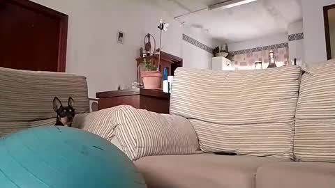 LOLA HUESO y ERIC online show from October 17, 2025, 8:06 am