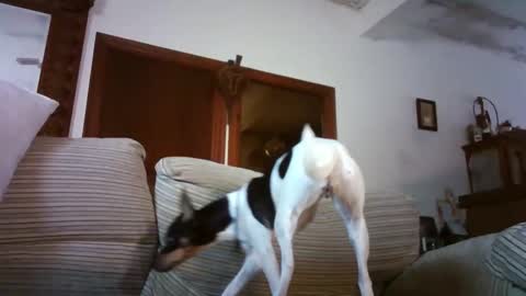 Snapshot of lolahueso chatting on January 15, 2026, 9:58 am LOLA HUESO y ERIC online show from January 15, 2026, 9:58 am