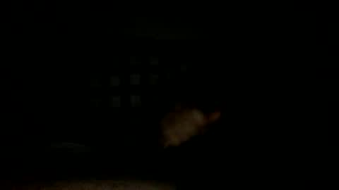 Handsome Cock online show from November 14, 2025, 7:34 pm