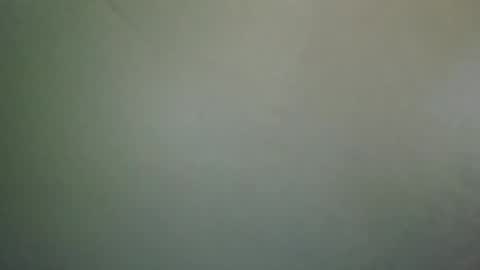 Snapshot of long101212 chatting on February 28, 2025, 7:14 pm long101212 online show from February 28, 2025, 7:14 pm