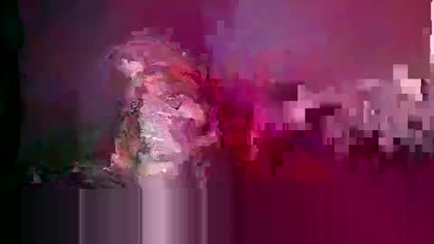 longone2600 online show from February 17, 2026, 2:30 am