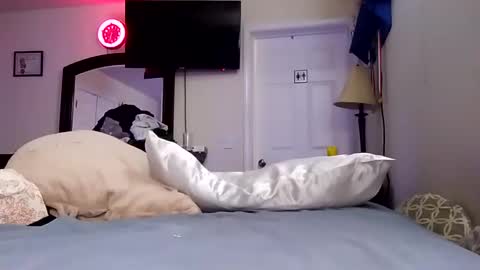 Snapshot of lookatmecum4you chatting on January 18, 2025, 11:32 am lookatmecum4you online show from January 18, 2025, 11:32 am