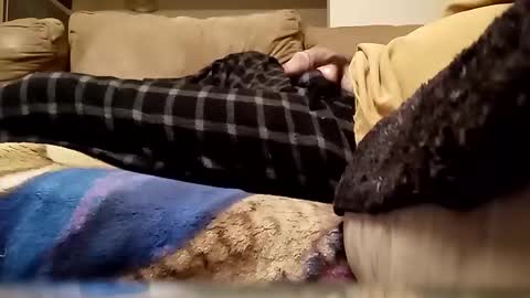 looking4bush online show from January 13, 2026, 3:34 am