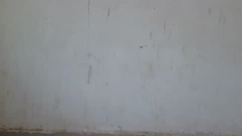 Snapshot of loraa_baby chatting on June 28, 2026, 12:49 am Loraa online show from June 28, 2026, 12:49 am