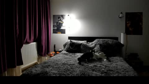 Snapshot of loraflame chatting on January 8, 2025, 6:41 pm Lora online show from January 8, 2025, 6:41 pm