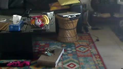 Lord Jim online show from June 18, 2026, 3:49 pm